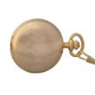Picture of Full Hunter Pocket Watch with TIGER Badge, Chain - GP - Quartz Battery